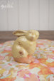Yellow + Clay Pot