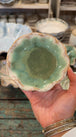 Matcha Leaf