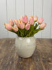 Dogwood